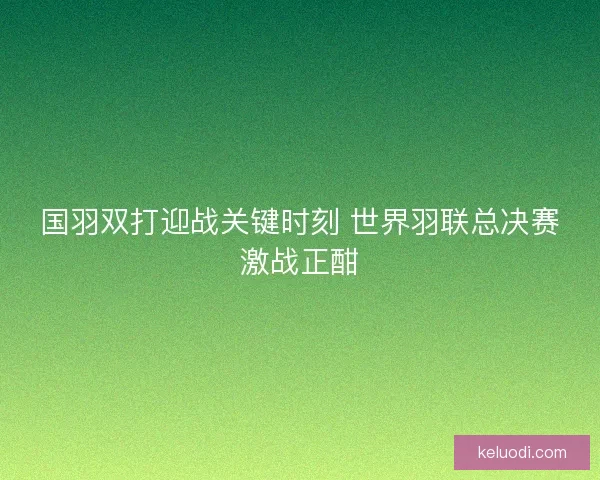 国羽双打迎战关键时刻 世界羽联总决赛激战正酣